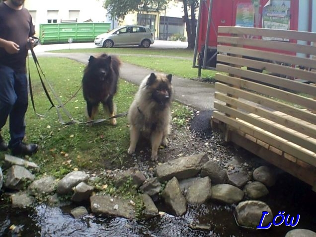 22.8.2025 - Dwix und Howard beobachten alles